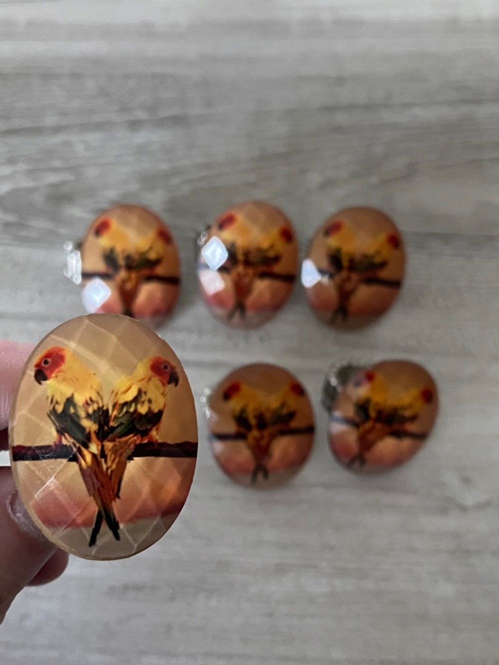 Parrot Beach Sunset One Size Large Ring